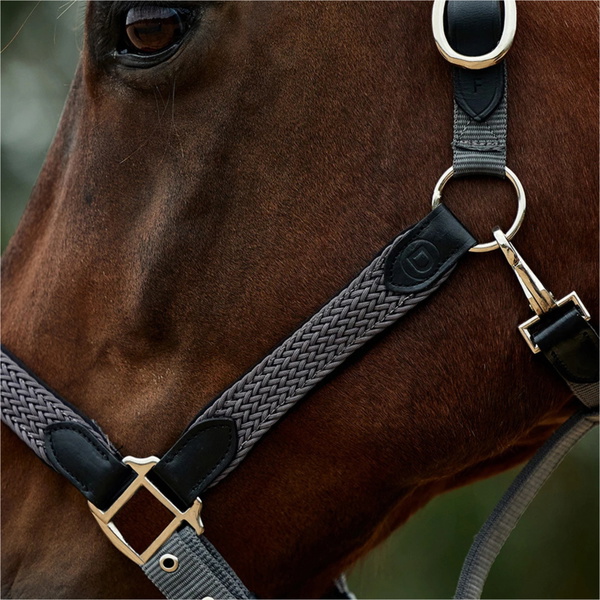 2026 Dublin Braided Leather Headcollar 1031532 - Charcoal